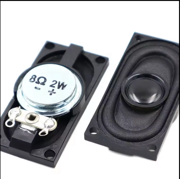 20*40mm multimedia cavity speaker