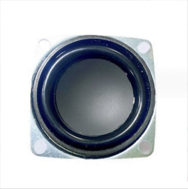 53mm multimedia loudspeaker