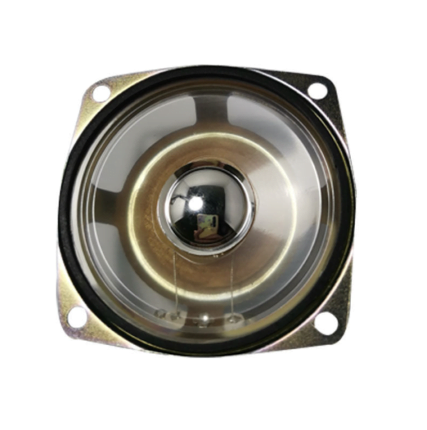 66mm multimedia cavity speaker