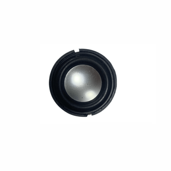 53mm Multimedia cavity speaker